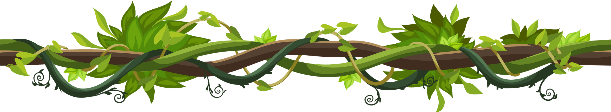 Green rainforest liana branch vines thicket plants